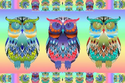 Rainbow owls