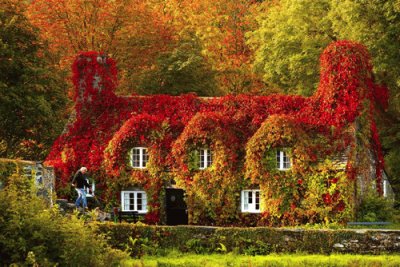 autunno