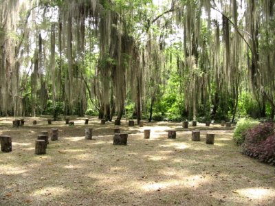 Parque Gallineral