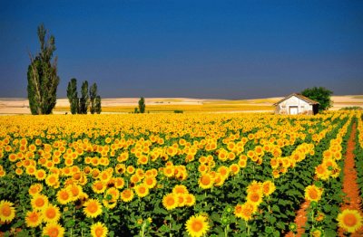 summer-168