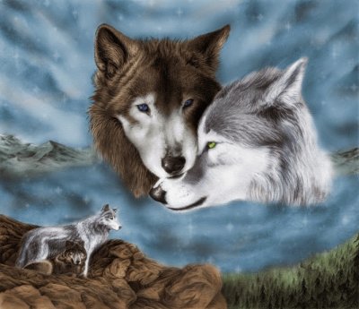 lobos jigsaw puzzle