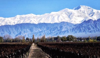 vineyards at the foot of the Andes jigsaw puzzle