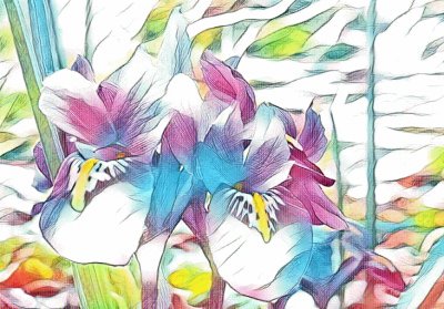 Small iris-family flower (photo edited) jigsaw puzzle