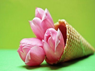 Flor del TulipÃ¡n- Cono de Helado.jpg jigsaw puzzle