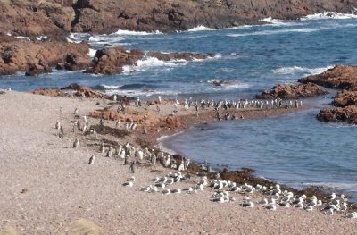 En Camarones. Chubut. Argentina jigsaw puzzle