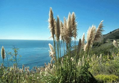 Californie cÃ´te