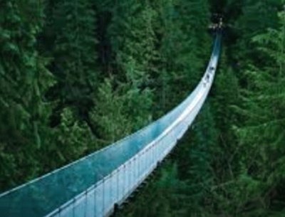 Capilano Bridge jigsaw puzzle