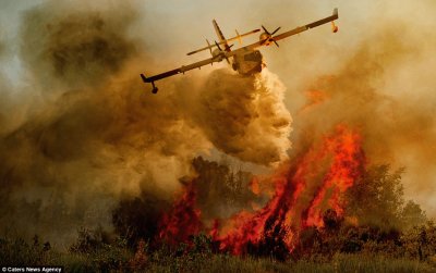 פאזל של Bombeiros AviÃ£o