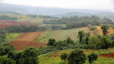 פאזל של En El Soberbio. Misiones. Argentina