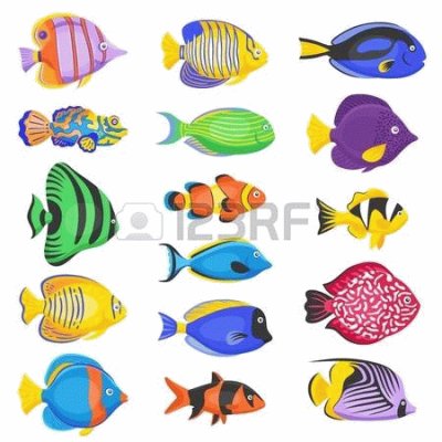 peces