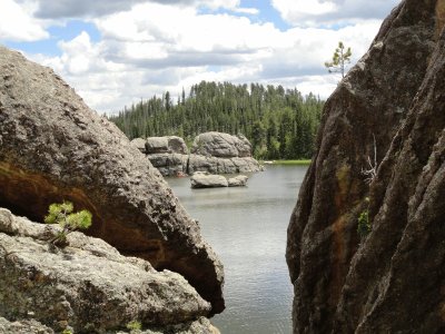 Custer State Park jigsaw puzzle