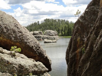 פאזל של Custer State Park