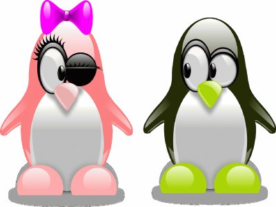 PingÃ¼inos- Arte, Amoroso