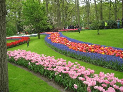פאזל של Keukenhof Gardens, Netherlands