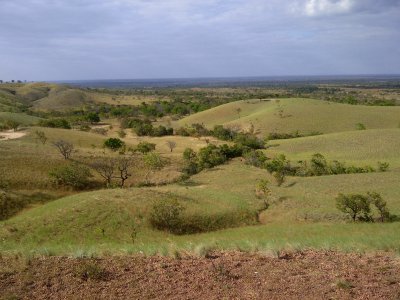 parque nacional Aguaro Guariquito (Venezuela) jigsaw puzzle