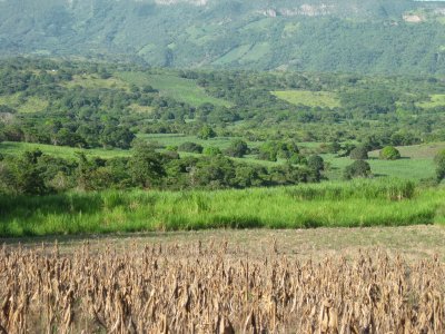 פאזל של campos de Naolinco