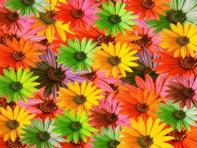 Colorido-Floral jigsaw puzzle