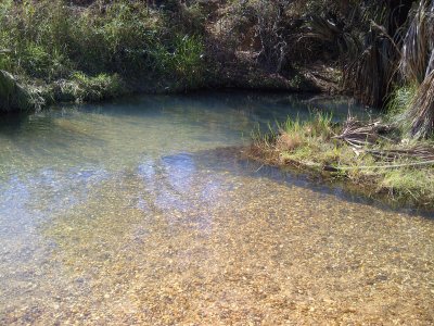 parque nacional Aguaro Guariquito (Venezuela)