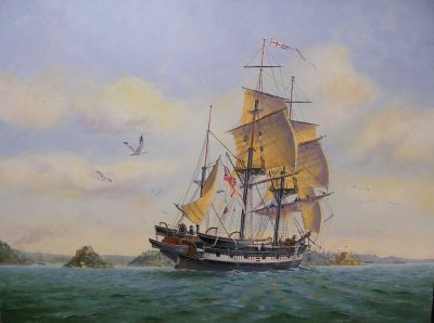 פאזל של Brigue HMS Beagle de Charles Darwin