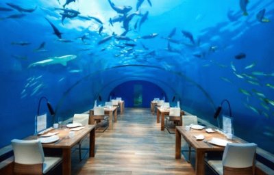 Underwater Eatery