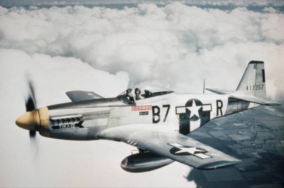 פאזל של P 51 Mustang