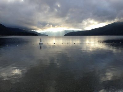 Early Morning in Harold Park, British Columbia, Ca