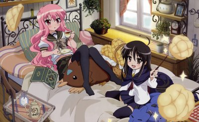 Shana jigsaw puzzle