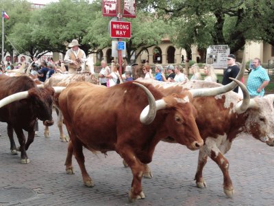 פאזל של Ft Worth StockYards