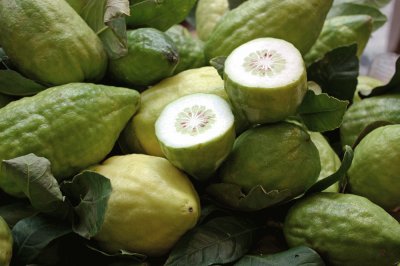 cedro jigsaw puzzle