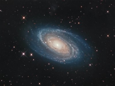panda0928