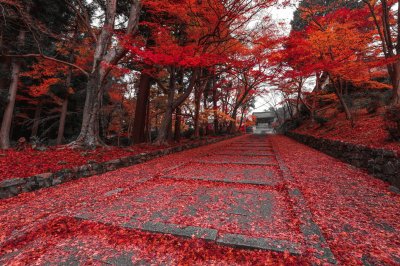 red jigsaw puzzle