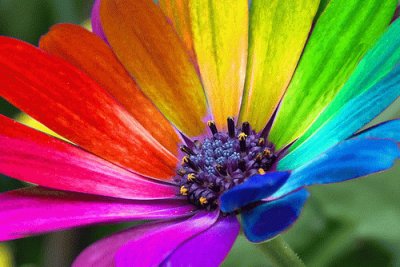 Color