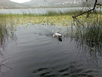פאזל של Lago de DoniÃ±os