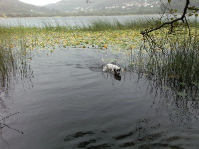 Lago de DoniÃ±os jigsaw puzzle