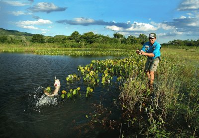 Pesca de TraÃ­ra em aÃ§ude