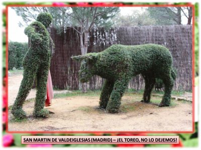 SAN MARTIN DE VALDEIGLESIAS (MADRID) â€“ Â¡EL TOREO!,