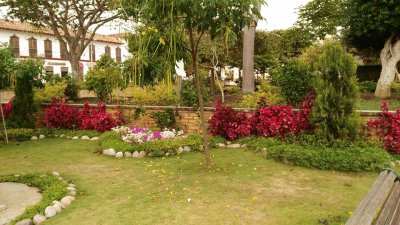 parque primaveral jigsaw puzzle