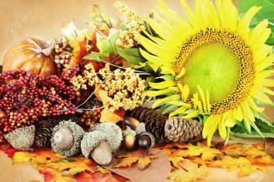 Colorful Autumn Decorations jigsaw puzzle