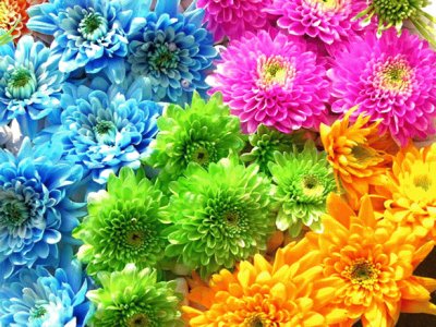 FLORES AZULES... jigsaw puzzle
