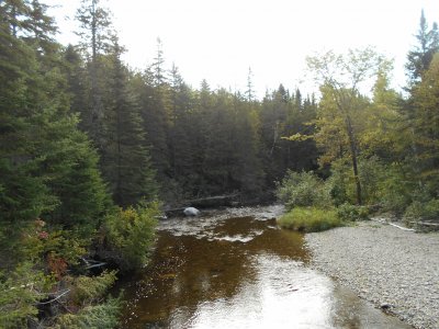 Nice creek scene    L jigsaw puzzle