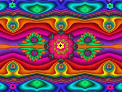 lily6