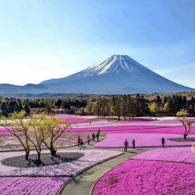 é¢¨æ™¯