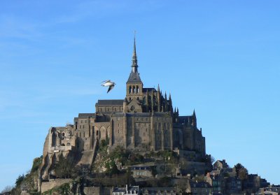 Aigle bavard