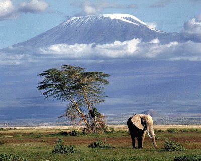 Mount Kilamanjaro/Africa jigsaw puzzle