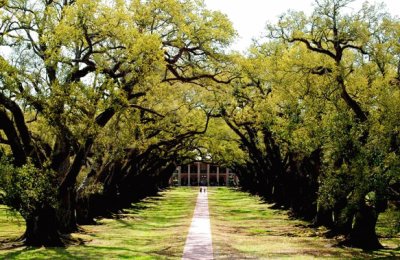 NOLA jigsaw puzzle