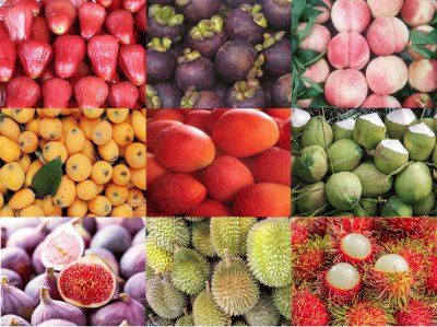 fruit8