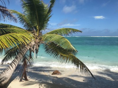 Seychellen jigsaw puzzle