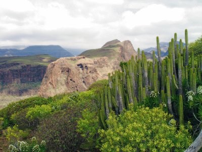 gran canaria