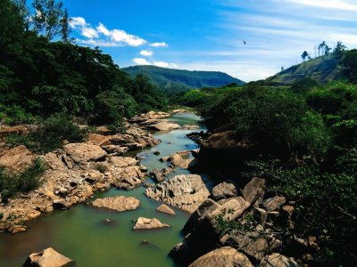 Rio Piracicaba jigsaw puzzle