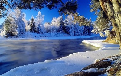 paysage hivernal